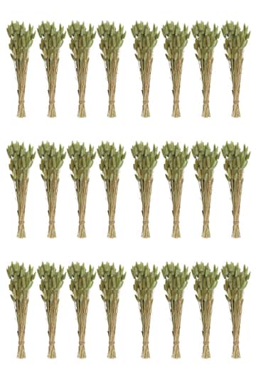 Hello Honey® 15" Dried Natural Bunny Tail Grass Bunches, 24ct.